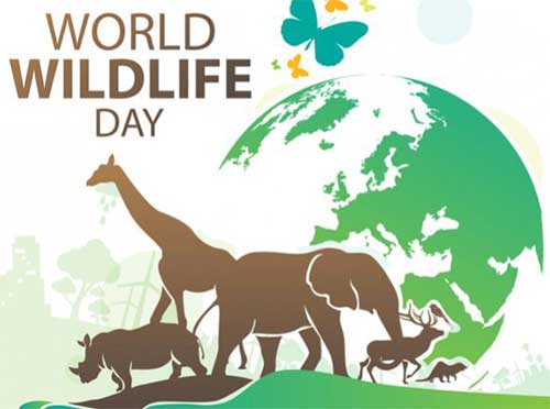 World Wildlife Day