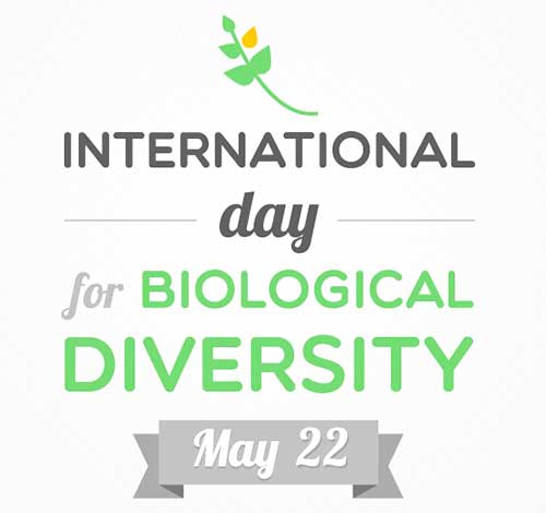 International Day for Biological Diversity