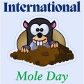 International Mole Day: Celebrating Chemistry's Key Concept